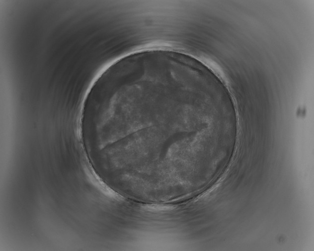 X0000093741296200711061015