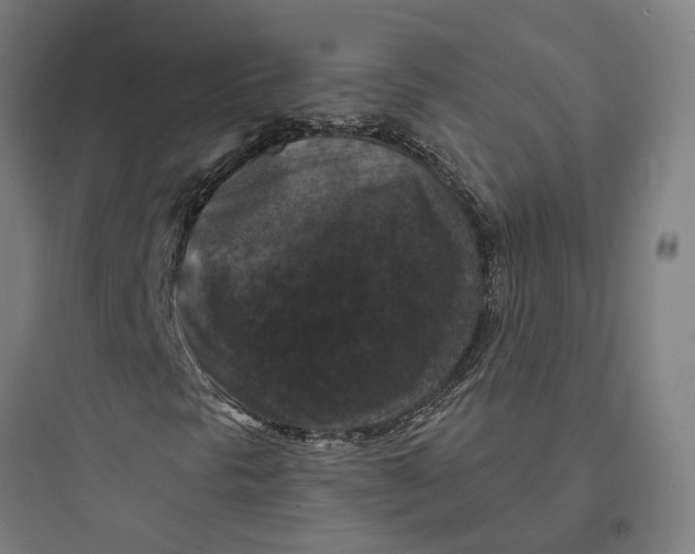 X0000093741297200711061014