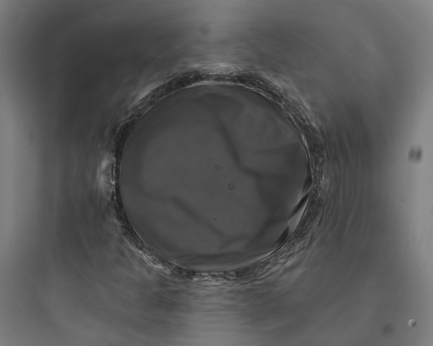 X0000093741301200711061014