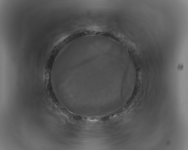 X0000093741302200711061014