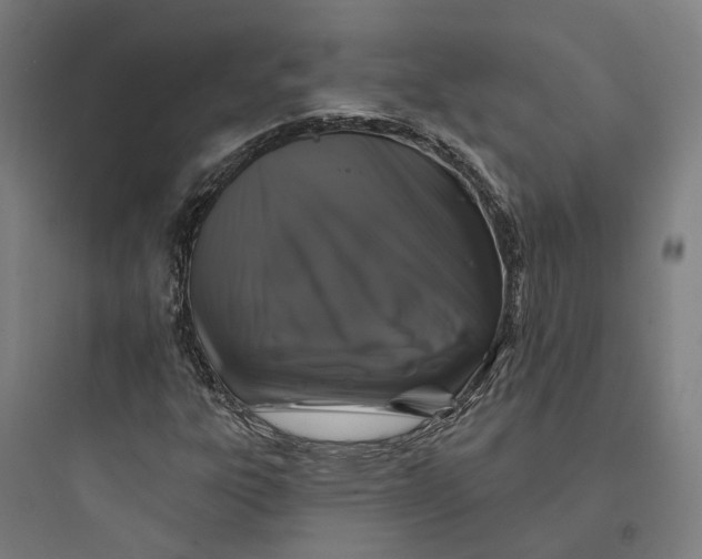 X0000093741303200711061014