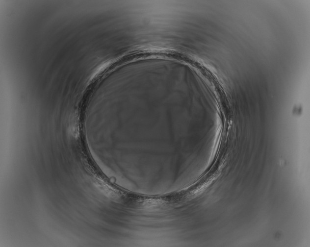 X0000093741306200711061014