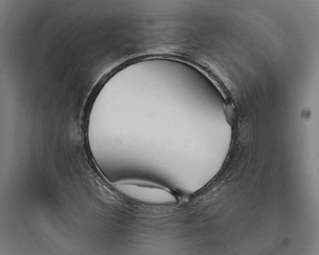 X0000093741308200711061014