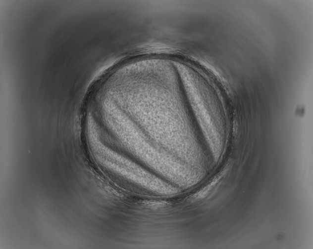 X0000093741309200711061014