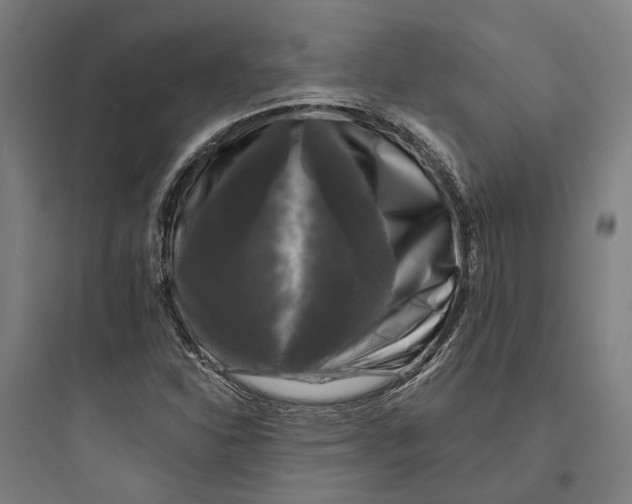 X0000093741310200711061014