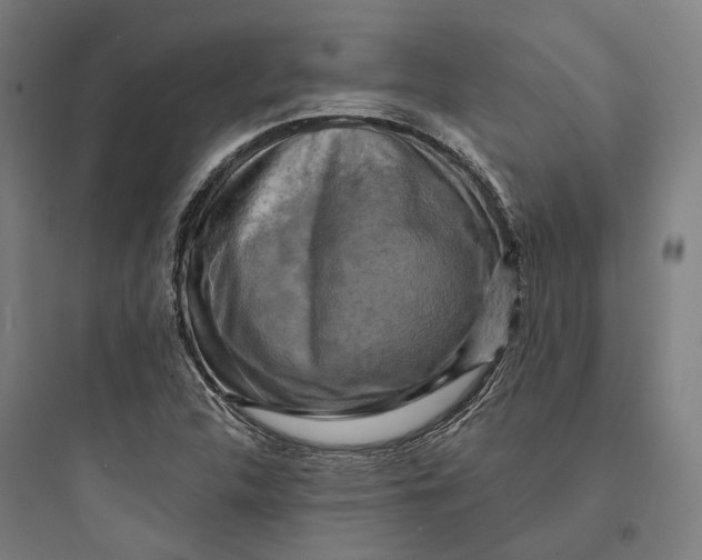 X0000093741312200711061014