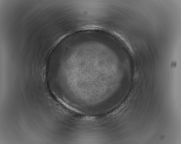 X0000093741313200711061014