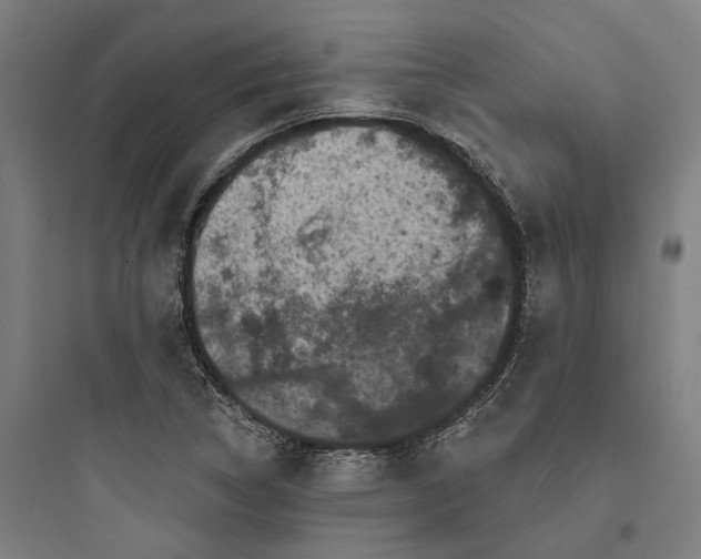 X0000093741314200711061014