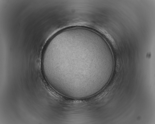 X0000093741316200711061014