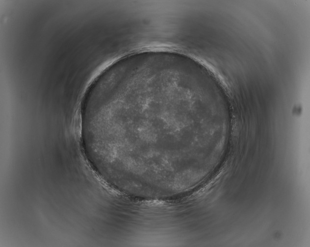 X0000093741317200711061014