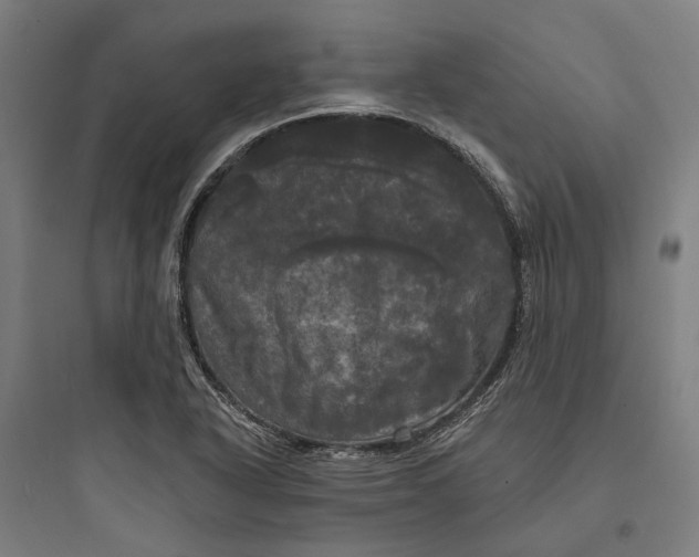 X0000093741318200711061014