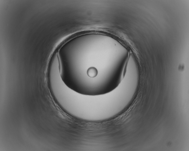 X0000093741320200711061014