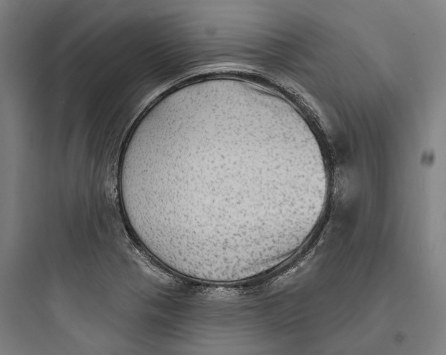 X0000093741321200711061014