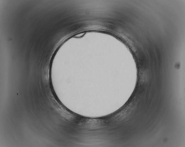 X0000093741322200711061014