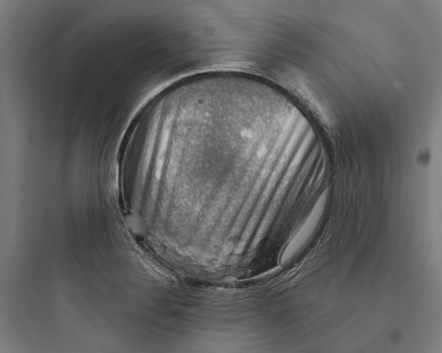 X0000093741324200711061014