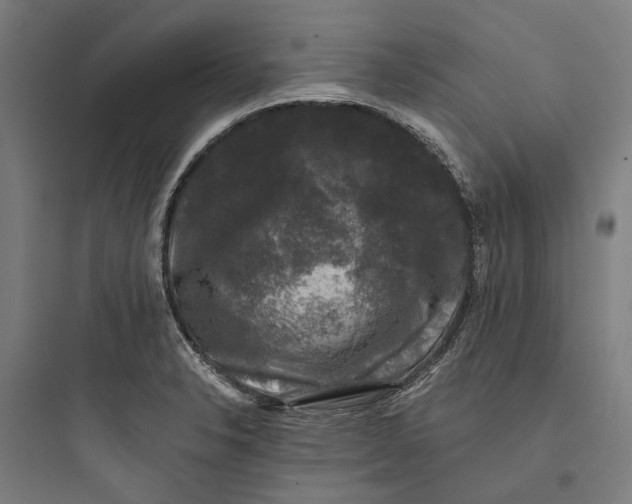 X0000093741326200711061014