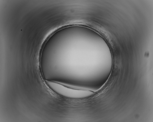 X0000093741328200711061014