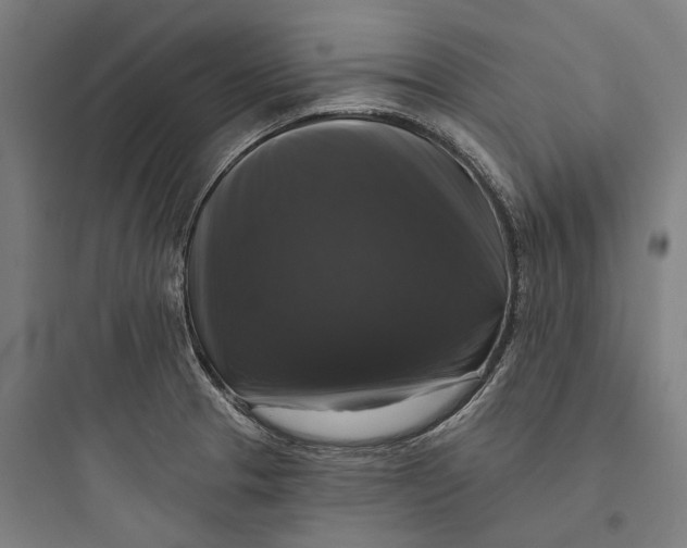 X0000093741329200711061014