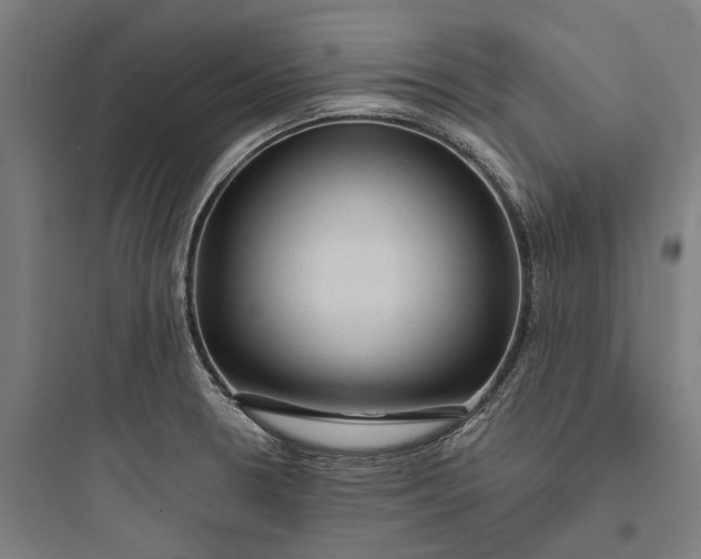 X0000093741330200711061014