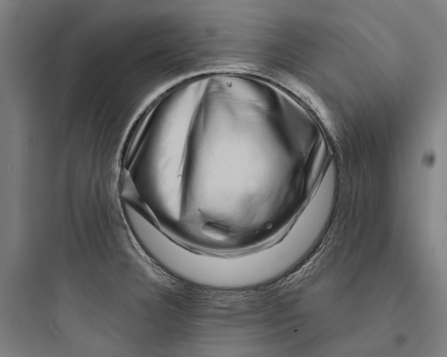 X0000093741332200711061014