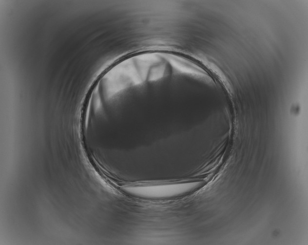 X0000093741333200711061015