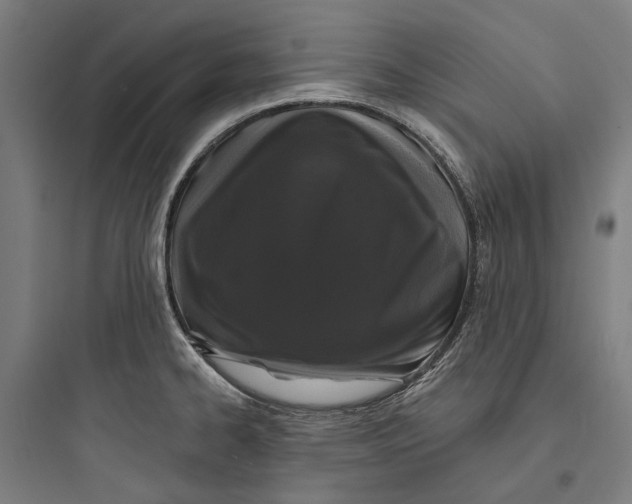 X0000093741334200711061015