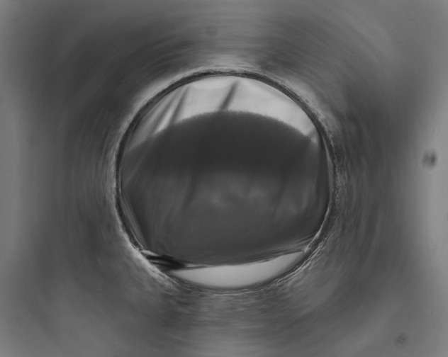 X0000093741335200711061015