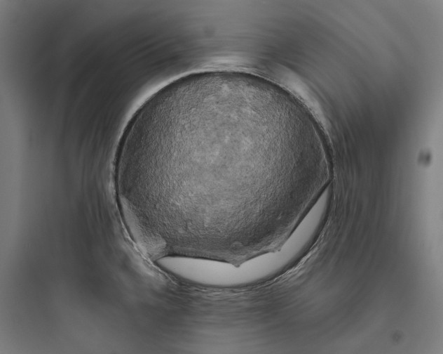 X0000093741336200711061015