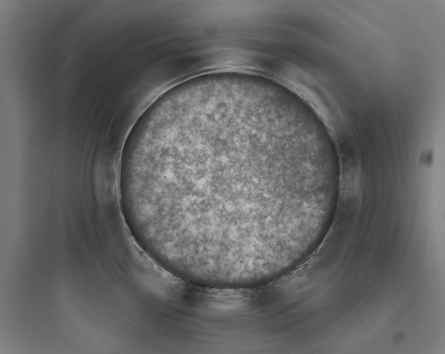 X0000093741338200711061015