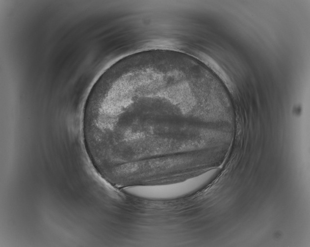 X0000093741339200711061015