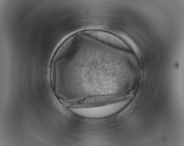 X0000093741340200711061015