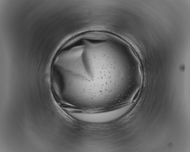 X0000093741342200711061015