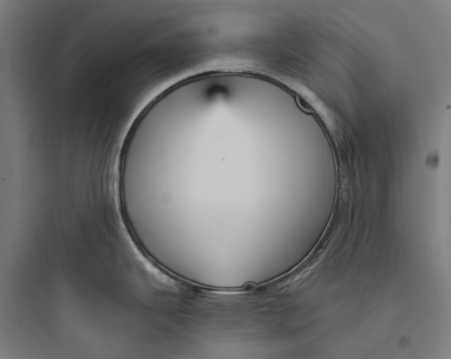 X0000093741343200711061015