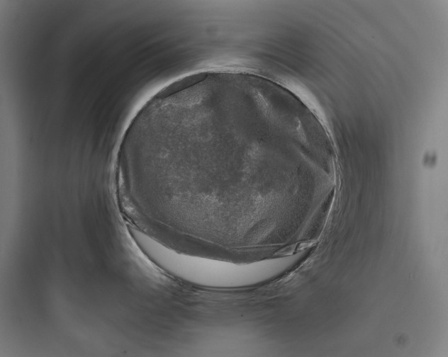 X0000093741344200711061015