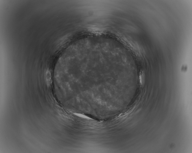 X0000093741347200711061014