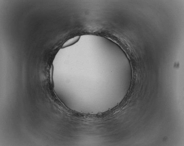 X0000093741349200711061014