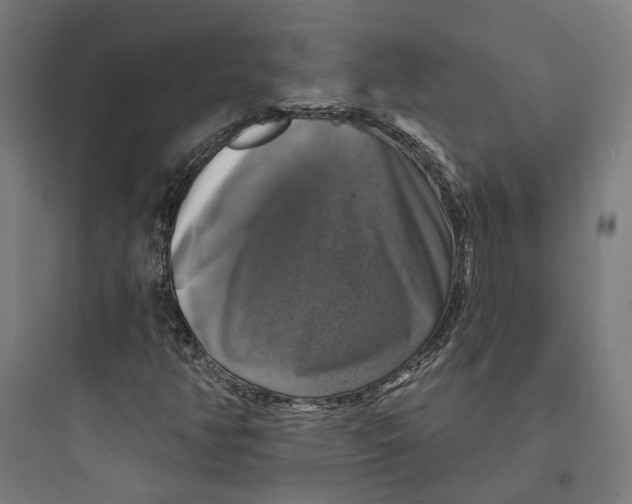 X0000093741350200711061014