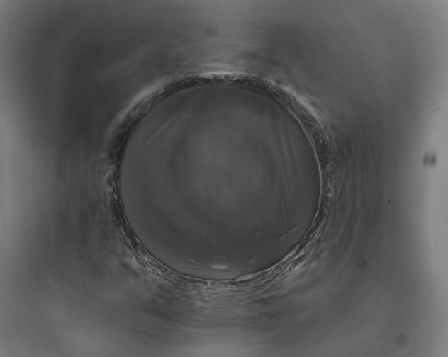 X0000093741351200711061014