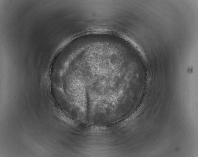 X0000093741354200711061014