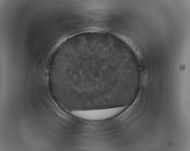 X0000093741355200711061014