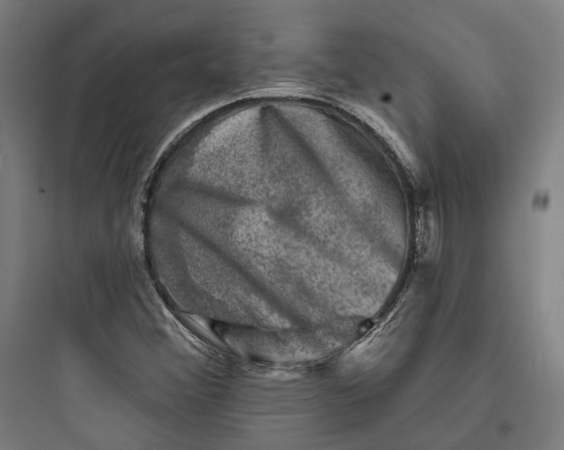 X0000093741356200711061014