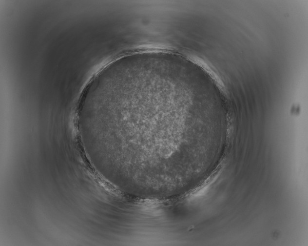 X0000093741357200711061014