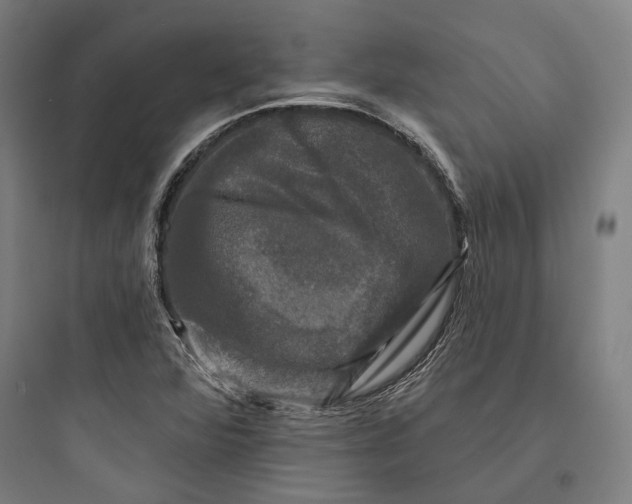 X0000093741360200711061014