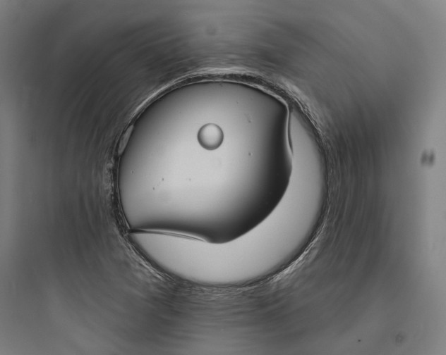 X0000093741361200711061014