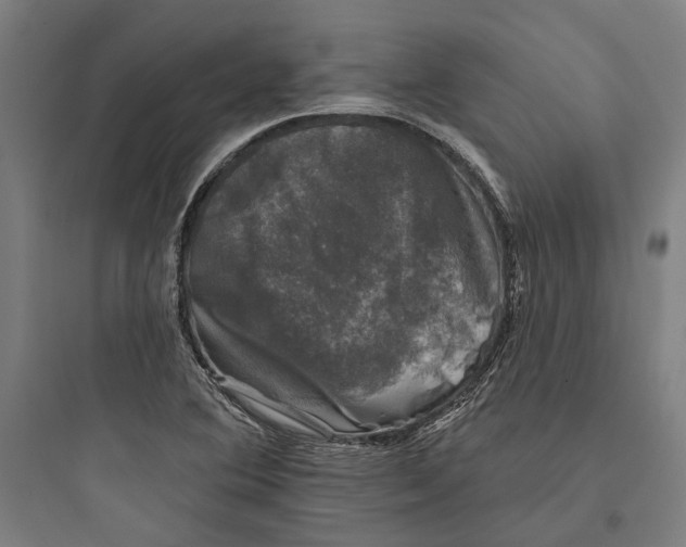 X0000093741364200711061014