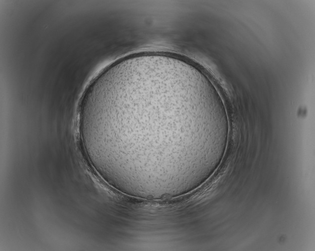 X0000093741366200711061014