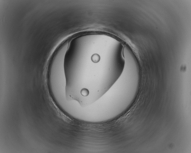 X0000093741368200711061014