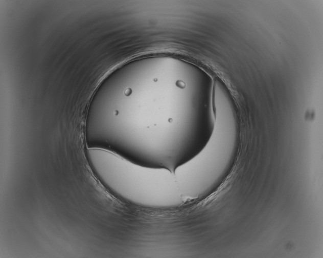 X0000093741369200711061014