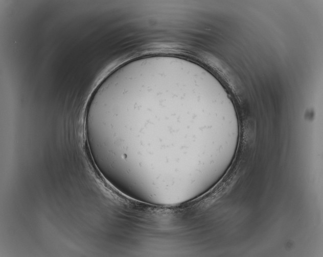 X0000093741370200711061014