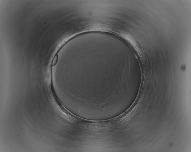 X0000093741371200711061014